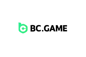 Exploring BCGame The Mirror of Online Gaming